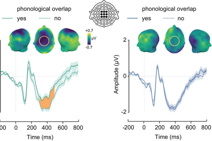 Affective modulation of cross-language activation is domain general