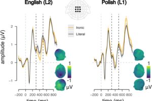 Irony processing in L1 and L2